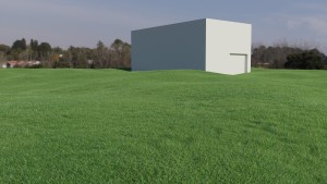 Grass_01.jpg