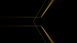 Path and Light Tracing