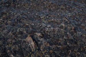 caustics_2.jpg