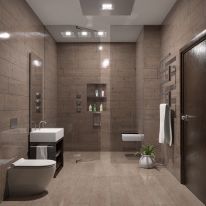 bathroom_lc2.jpg