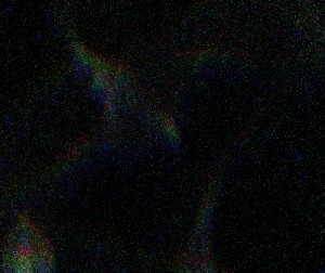 Fireflies.jpg