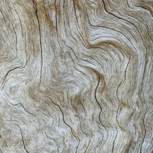 pattern-7.jpg