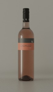 bottle_versuch.jpg