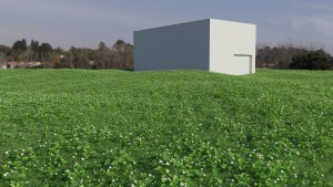 Grass_06.jpg